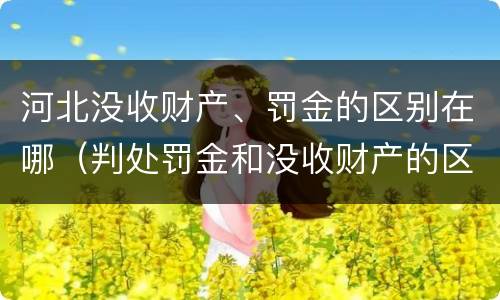 河北没收财产、罚金的区别在哪（判处罚金和没收财产的区别）