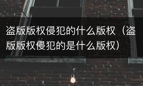 盗版版权侵犯的什么版权（盗版版权侵犯的是什么版权）