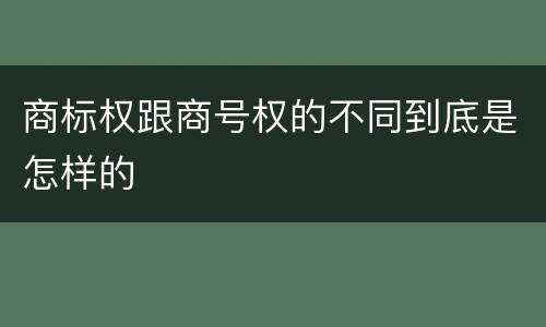 商标权跟商号权的不同到底是怎样的
