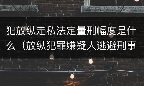 犯放纵走私法定量刑幅度是什么（放纵犯罪嫌疑人逃避刑事责任）