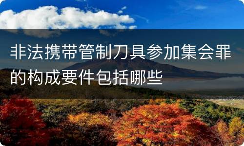 非法携带管制刀具参加集会罪的构成要件包括哪些