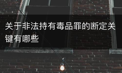 关于非法持有毒品罪的断定关键有哪些