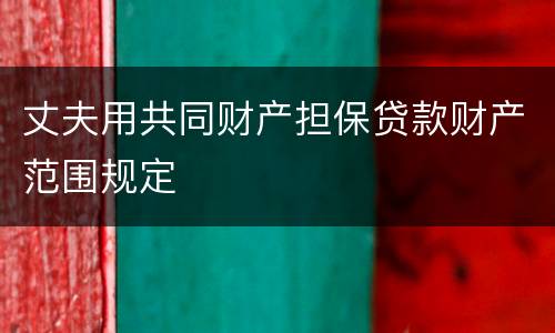 丈夫用共同财产担保贷款财产范围规定