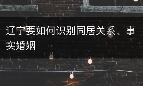 辽宁要如何识别同居关系、事实婚姻