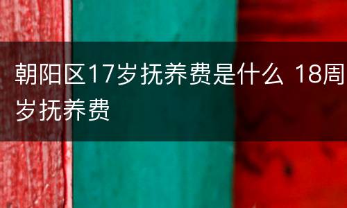 朝阳区17岁抚养费是什么 18周岁抚养费