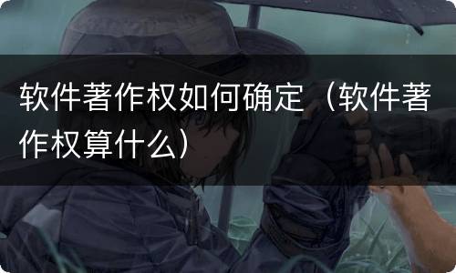 软件著作权如何确定（软件著作权算什么）