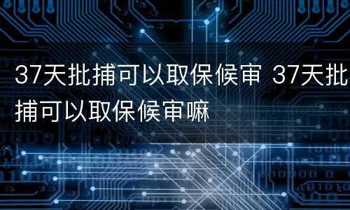 37天批捕可以取保候审 37天批捕可以取保候审嘛