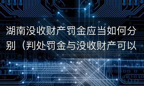 湖南没收财产罚金应当如何分别（判处罚金与没收财产可以并罚吗）
