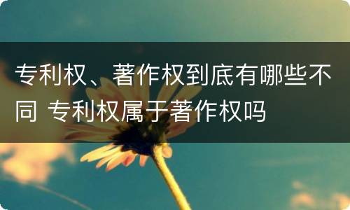 专利权、著作权到底有哪些不同 专利权属于著作权吗