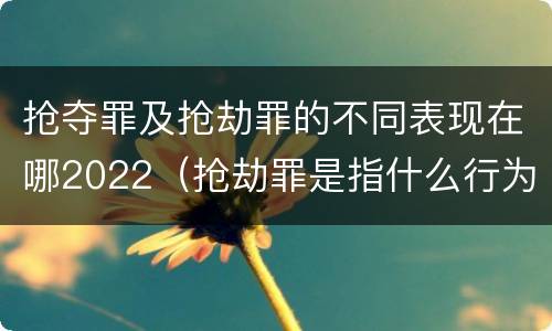 抢夺罪及抢劫罪的不同表现在哪2022（抢劫罪是指什么行为?）