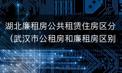 湖北廉租房公共租赁住房区分（武汉市公租房和廉租房区别）