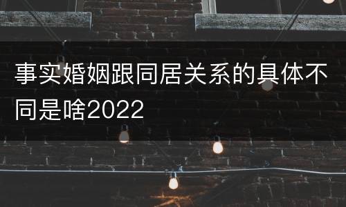 事实婚姻跟同居关系的具体不同是啥2022
