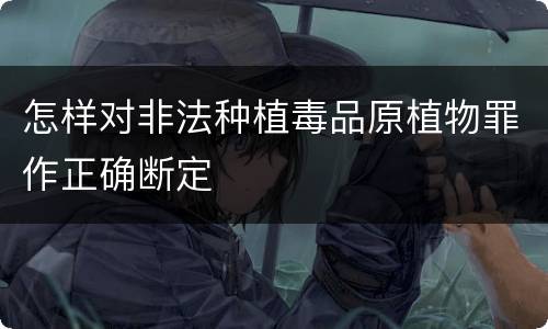 怎样对非法种植毒品原植物罪作正确断定