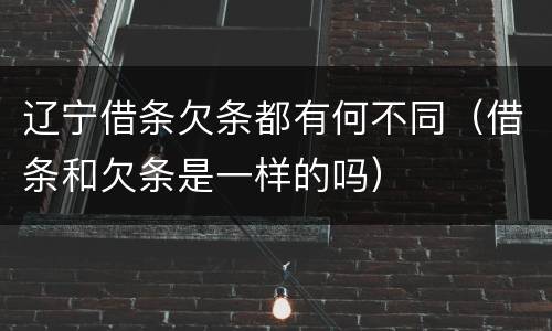 辽宁借条欠条都有何不同（借条和欠条是一样的吗）