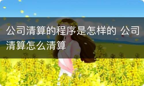 公司清算的程序是怎样的 公司清算怎么清算