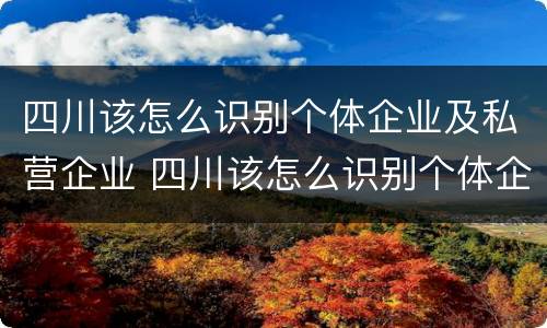 四川该怎么识别个体企业及私营企业 四川该怎么识别个体企业及私营企业名录