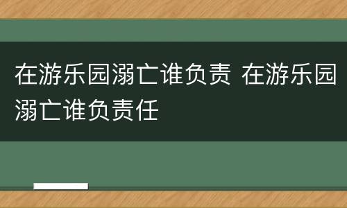 在游乐园溺亡谁负责 在游乐园溺亡谁负责任