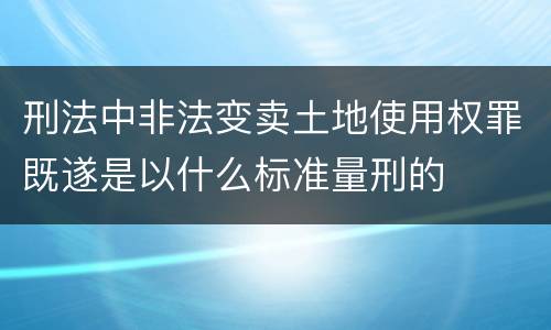刑法中非法变卖土地使用权罪既遂是以什么标准量刑的