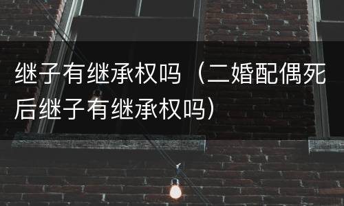 继子有继承权吗（二婚配偶死后继子有继承权吗）