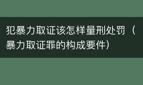 犯暴力取证该怎样量刑处罚（暴力取证罪的构成要件）