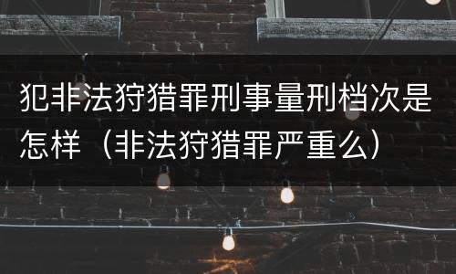 犯非法狩猎罪刑事量刑档次是怎样（非法狩猎罪严重么）