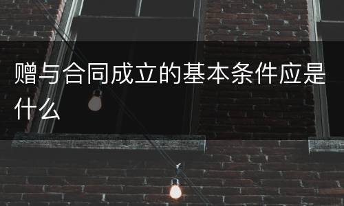 赠与合同成立的基本条件应是什么