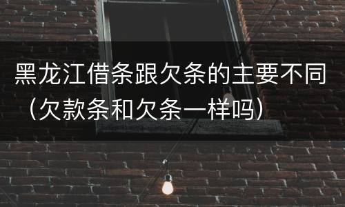 黑龙江借条跟欠条的主要不同（欠款条和欠条一样吗）