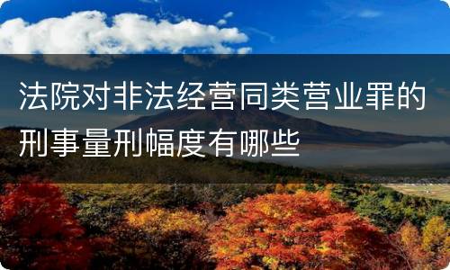法院对非法经营同类营业罪的刑事量刑幅度有哪些