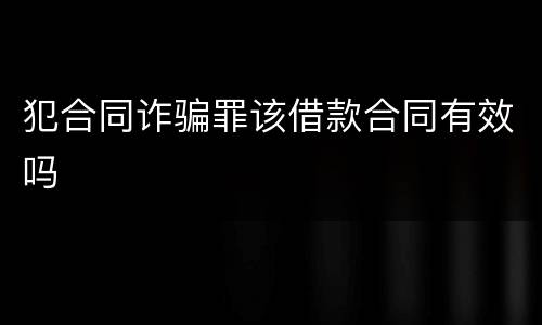 犯合同诈骗罪该借款合同有效吗