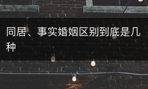 同居、事实婚姻区别到底是几种