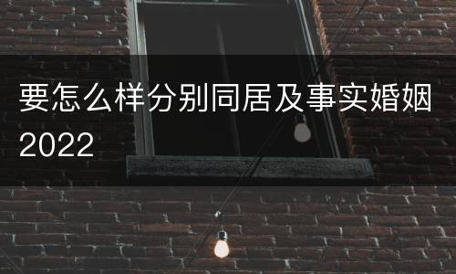 要怎么样分别同居及事实婚姻2022