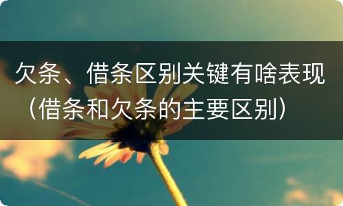 欠条、借条区别关键有啥表现（借条和欠条的主要区别）