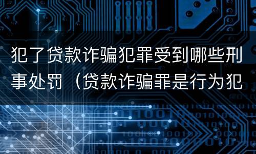 犯了贷款诈骗犯罪受到哪些刑事处罚（贷款诈骗罪是行为犯吗）