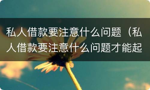 私人借款要注意什么问题（私人借款要注意什么问题才能起诉）