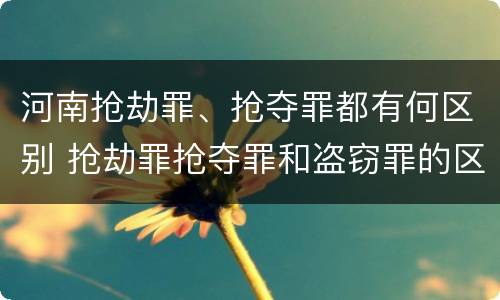 河南抢劫罪、抢夺罪都有何区别 抢劫罪抢夺罪和盗窃罪的区别