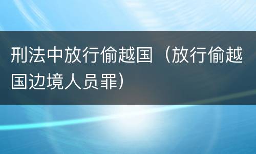 刑法中放行偷越国（放行偷越国边境人员罪）