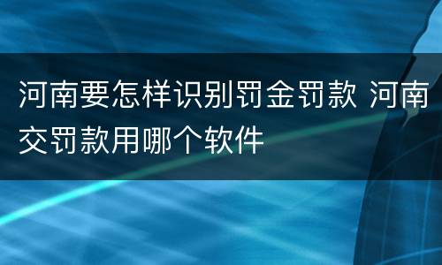 河南要怎样识别罚金罚款 河南交罚款用哪个软件