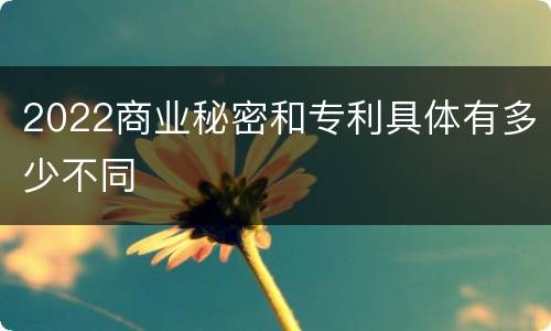 2022商业秘密和专利具体有多少不同
