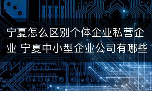 宁夏怎么区别个体企业私营企业 宁夏中小型企业公司有哪些