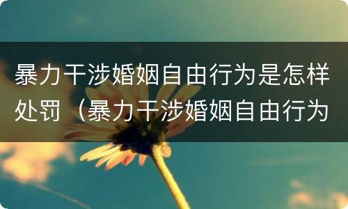 暴力干涉婚姻自由行为是怎样处罚（暴力干涉婚姻自由行为是怎样处罚的）