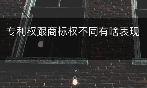 专利权跟商标权不同有啥表现