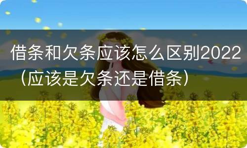借条和欠条应该怎么区别2022（应该是欠条还是借条）