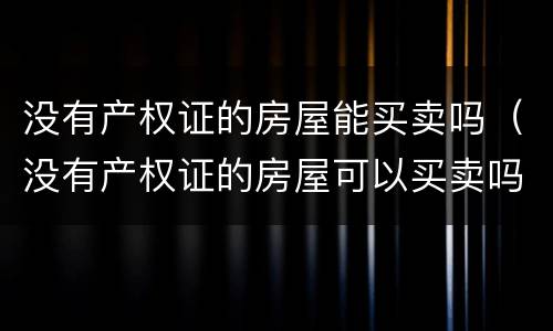 没有产权证的房屋能买卖吗（没有产权证的房屋可以买卖吗）