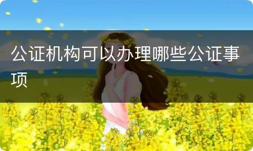 公证机构可以办理哪些公证事项