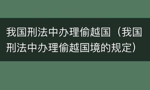 我国刑法中办理偷越国（我国刑法中办理偷越国境的规定）