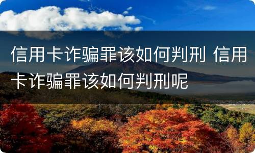 信用卡诈骗罪该如何判刑 信用卡诈骗罪该如何判刑呢