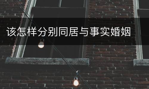 该怎样分别同居与事实婚姻