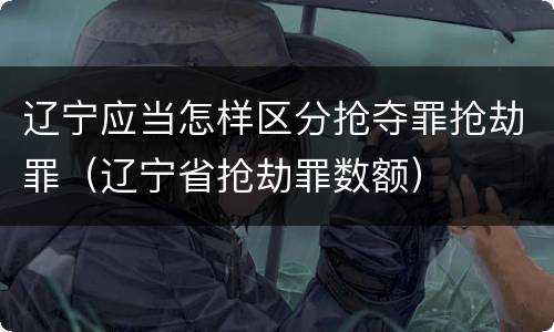 辽宁应当怎样区分抢夺罪抢劫罪（辽宁省抢劫罪数额）