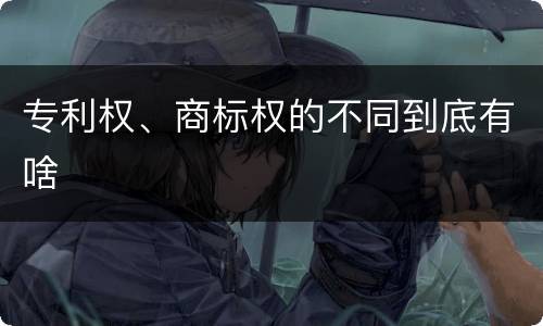 专利权、商标权的不同到底有啥