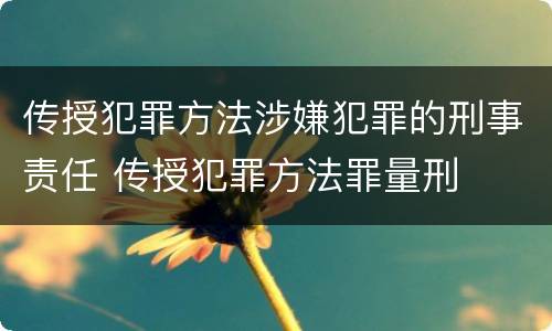 传授犯罪方法涉嫌犯罪的刑事责任 传授犯罪方法罪量刑